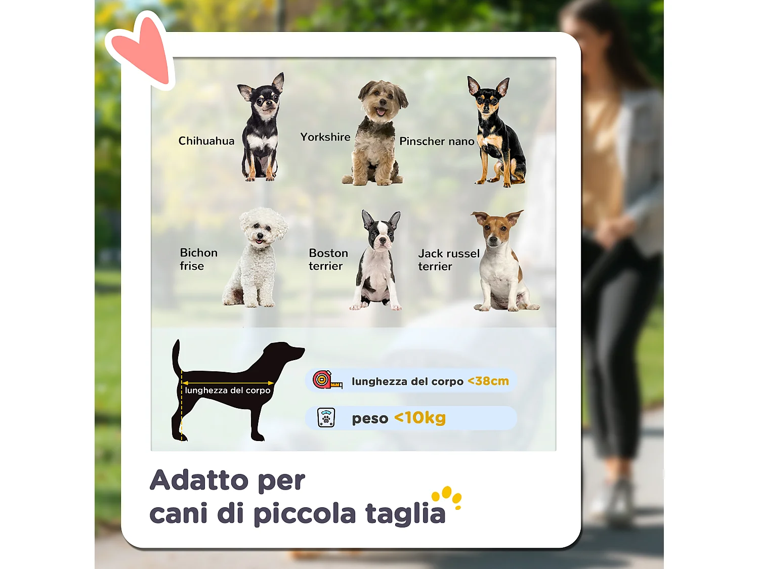 Passeggino cani pieghevole copertura antipioggia e guinzaglio verde