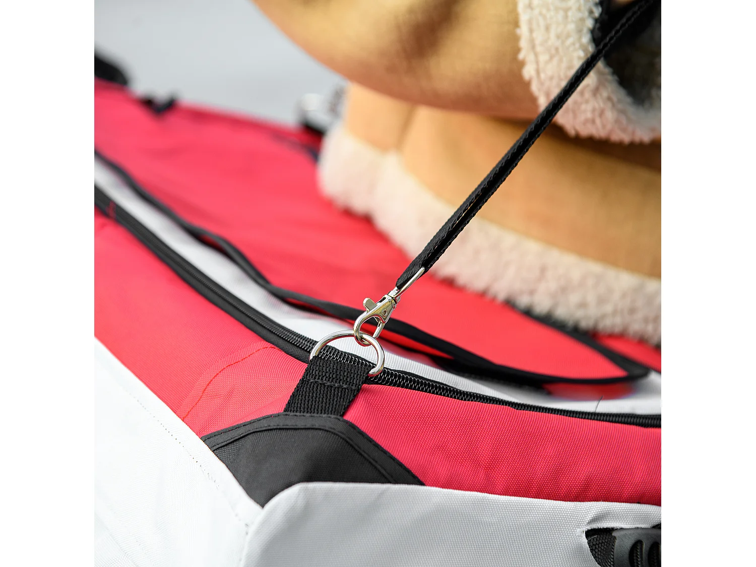 Passeggino per cani taglia piccola e mini con guinzagli e custodia