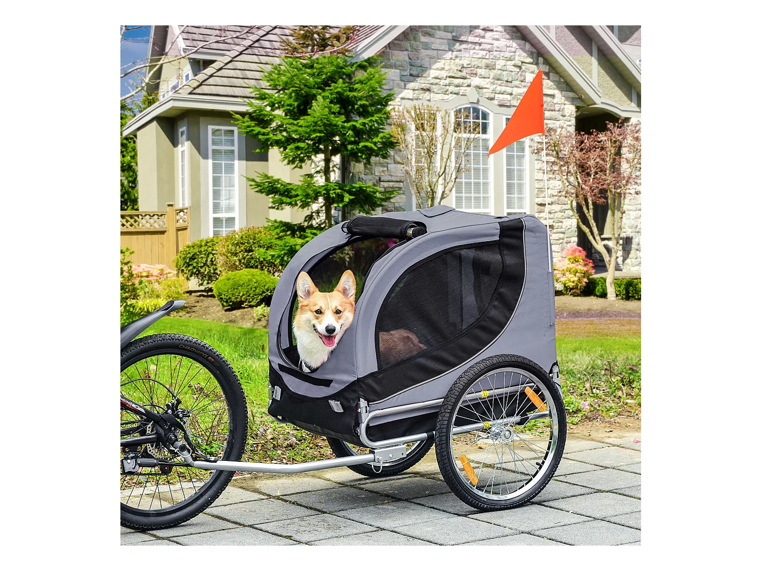 Rimorchio bici per cani taglia media con finestre laterali e bandierina