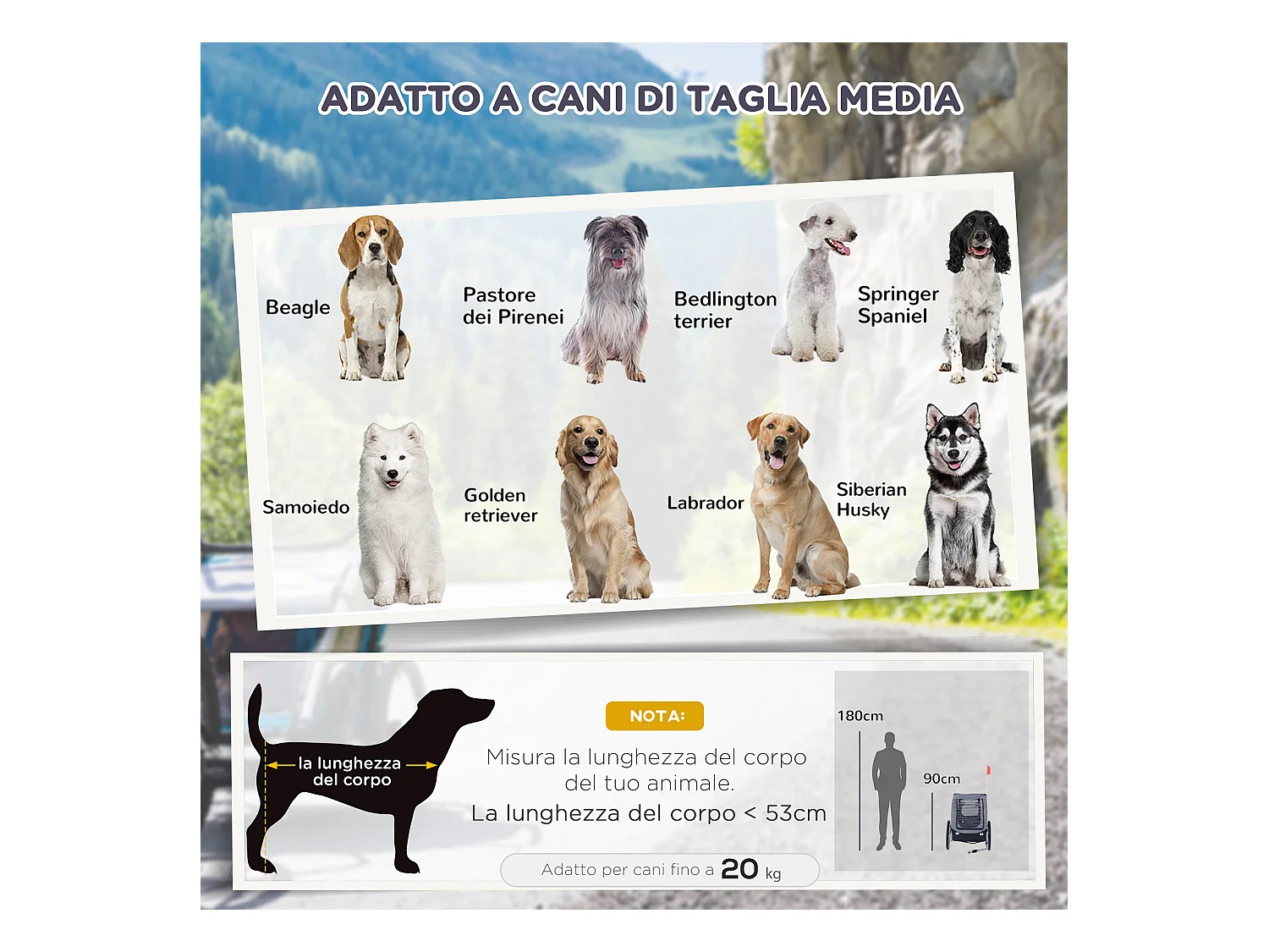 Rimorchio bici per cani taglia media con finestre laterali e bandierina