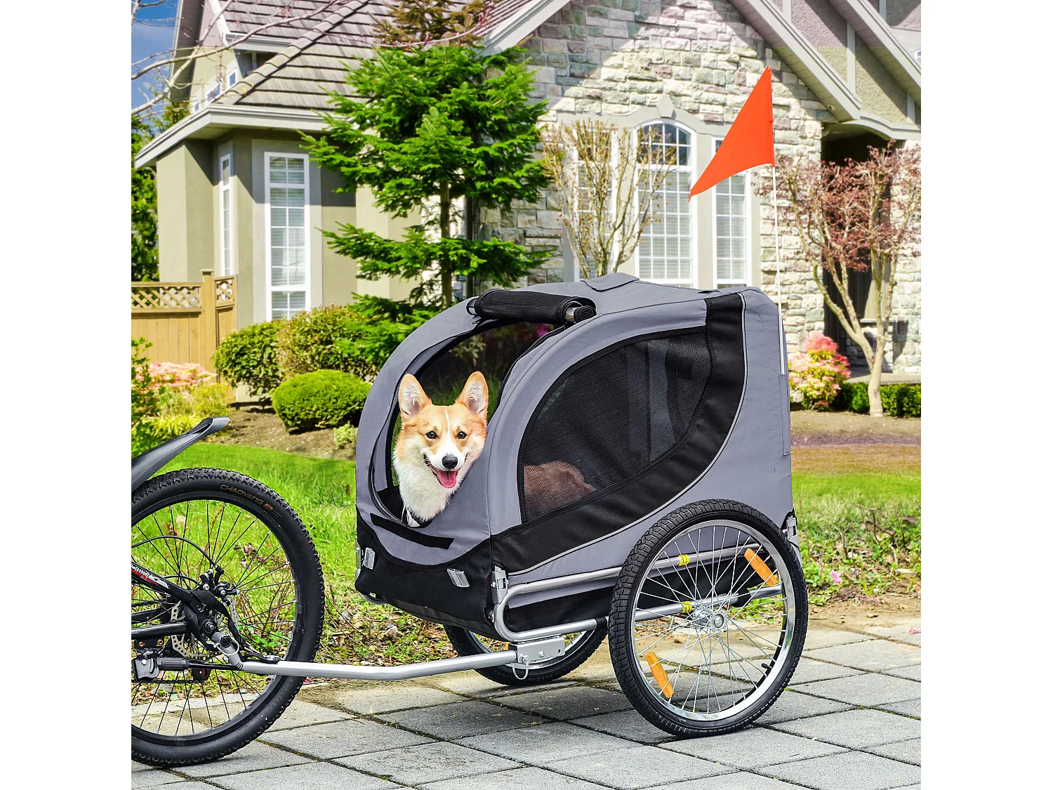 Rimorchio bici per cani taglia media con finestre laterali e bandierina