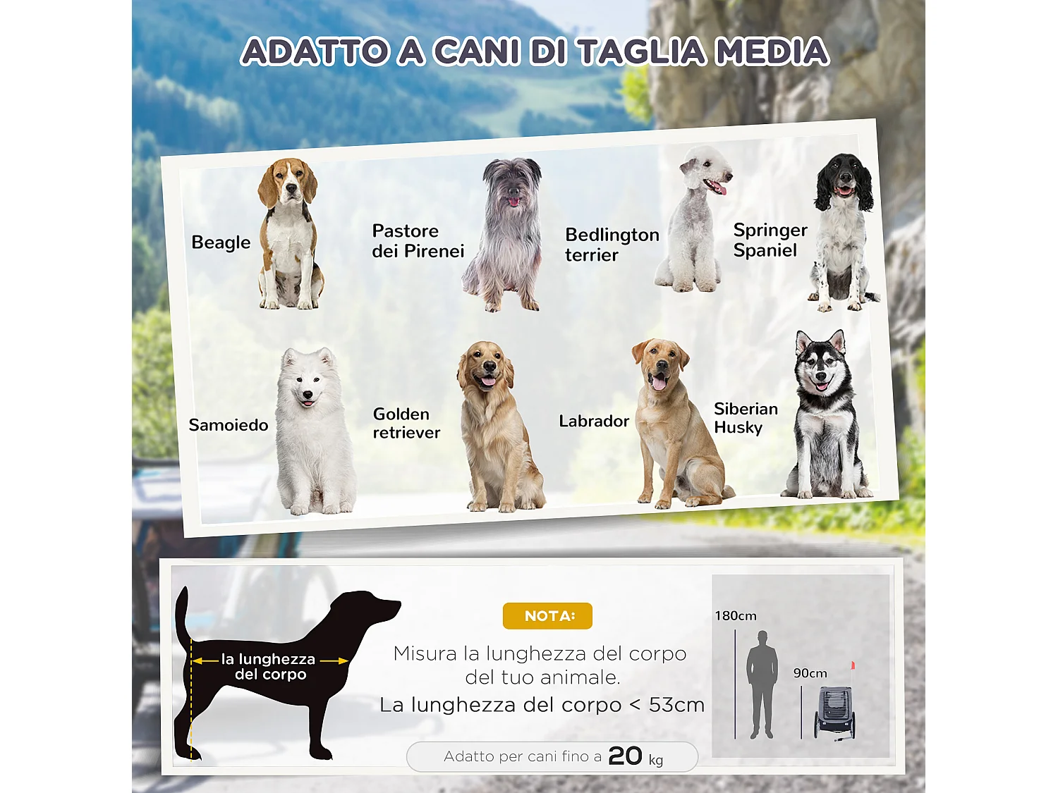 Rimorchio bici per cani taglia media con finestre laterali e bandierina