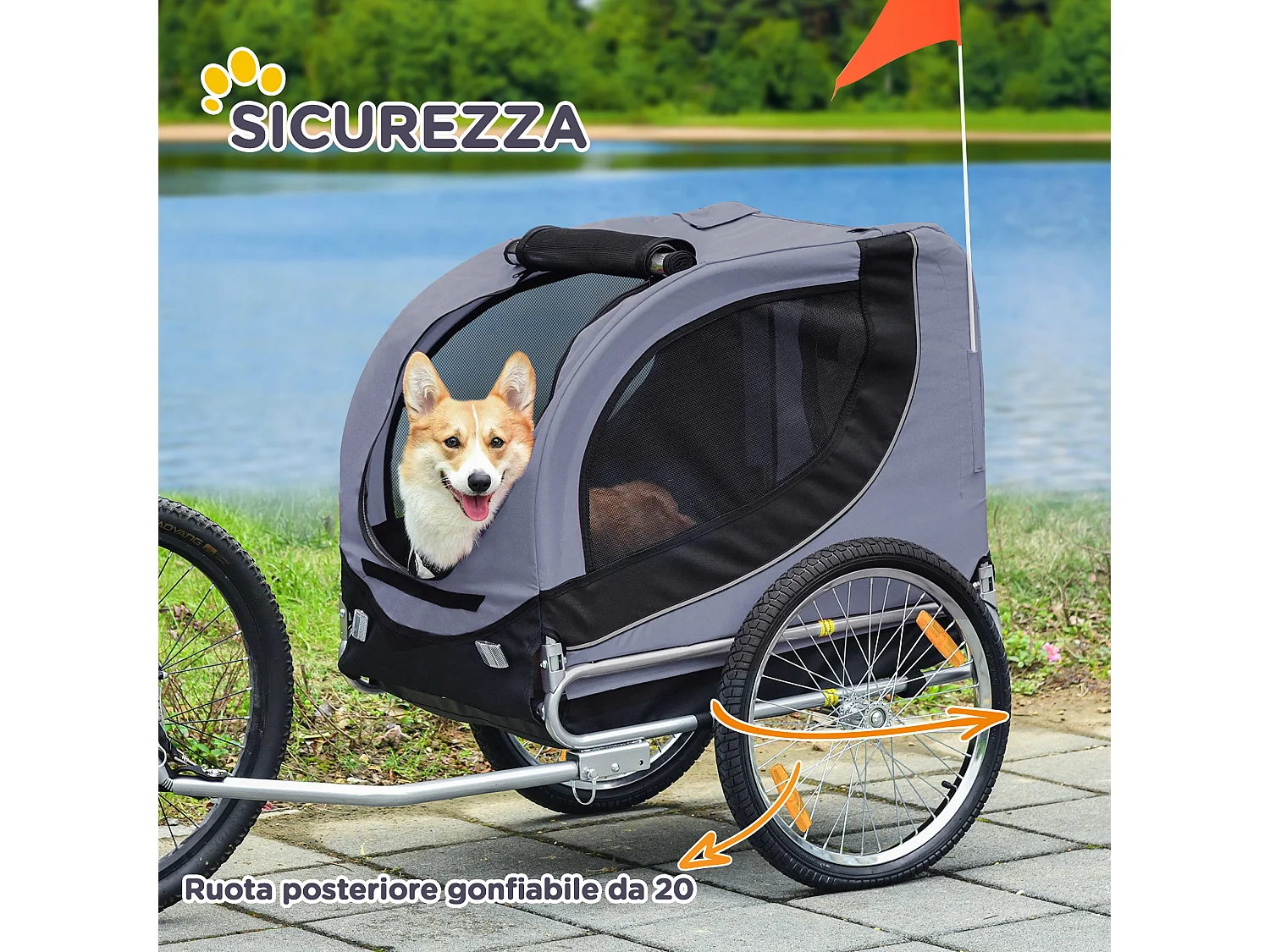 Rimorchio bici per cani taglia media con finestre laterali e bandierina
