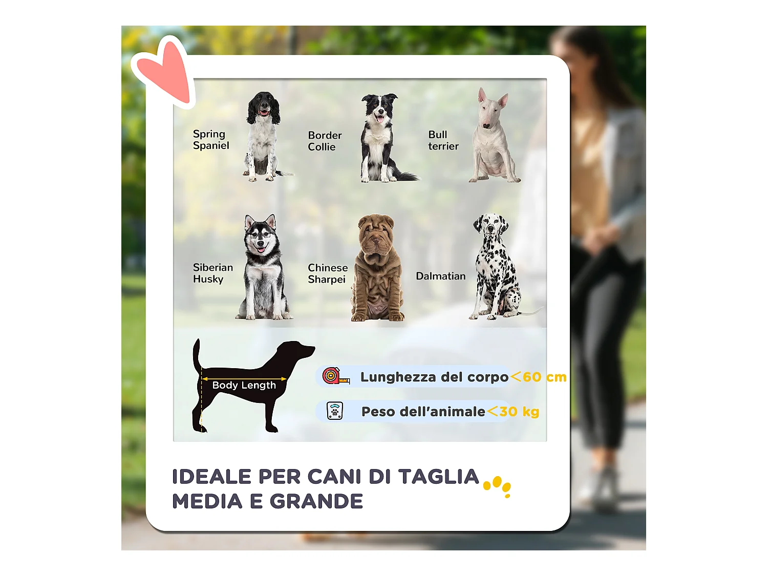 Passeggino per cani pieghevole con ingressi a cerniera nero e rosso