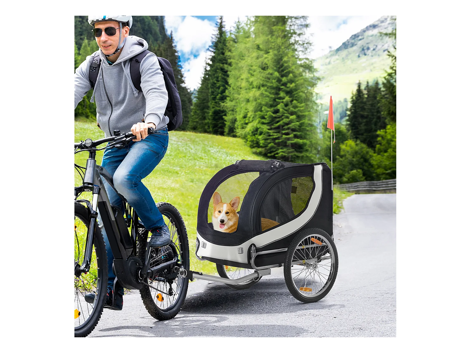 Rimorchio bici per cani taglia media con finestre laterali e bandierina