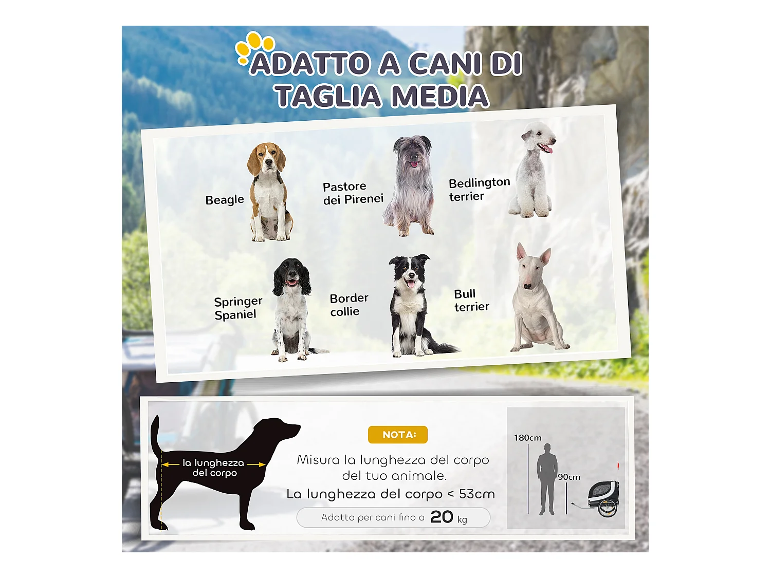 Rimorchio bici per cani taglia media con finestre laterali e bandierina
