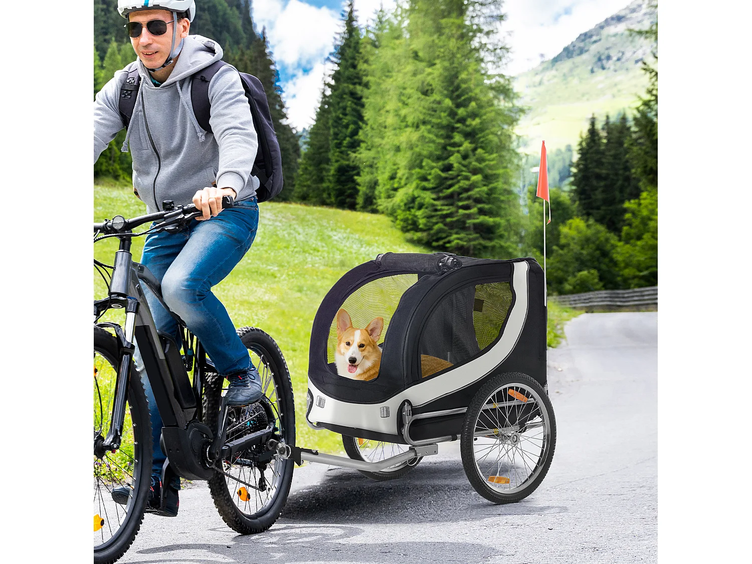 Rimorchio bici per cani taglia media con finestre laterali e bandierina