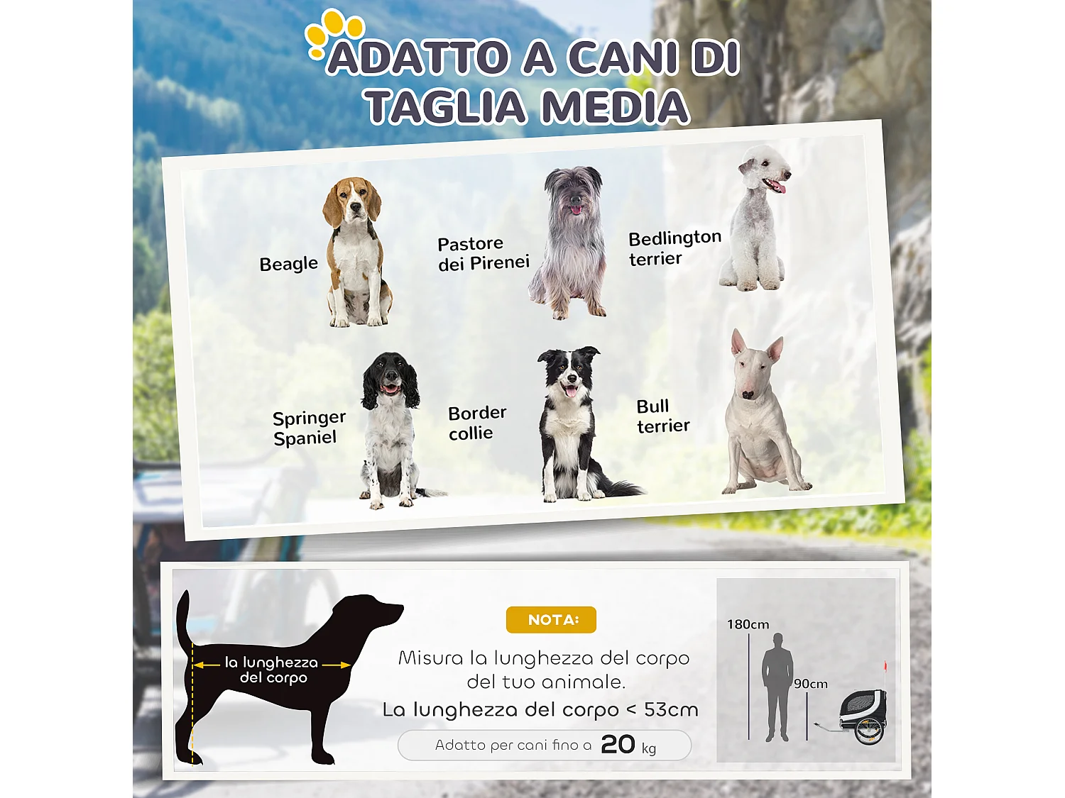 Rimorchio bici per cani taglia media con finestre laterali e bandierina