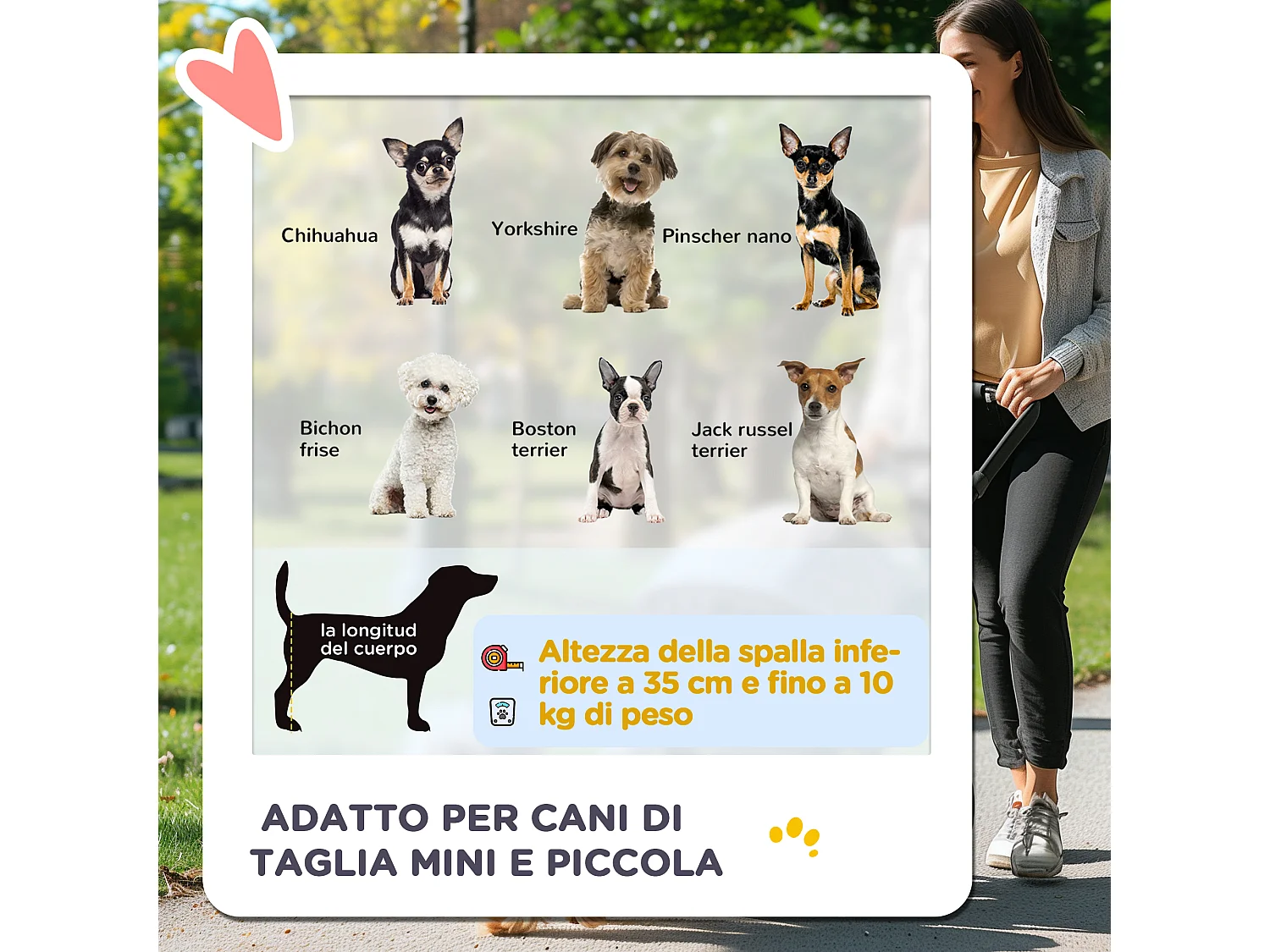 Passeggino per cani piccoli pieghevole con freno e ruote girevoli, nero