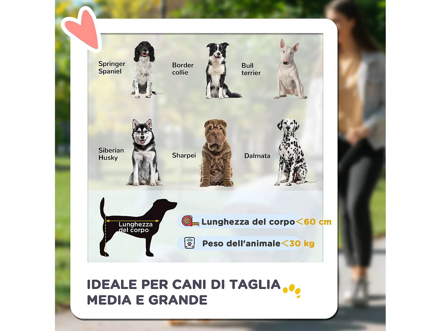 Passeggino per cani pieghevole con ingressi a cerniera grigio scuro