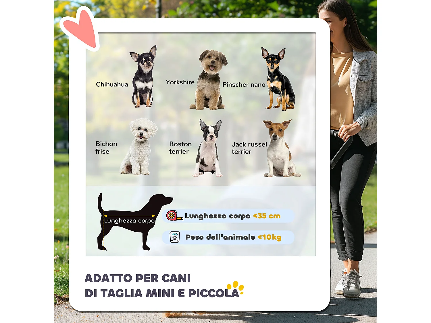 Passeggino per cani pieghevole con freno e ruote girevoli grigio carbone