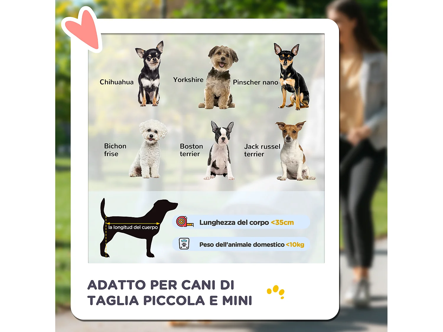 Passeggino per cani piccoli e mini pieghevole con cestino e rete caffè