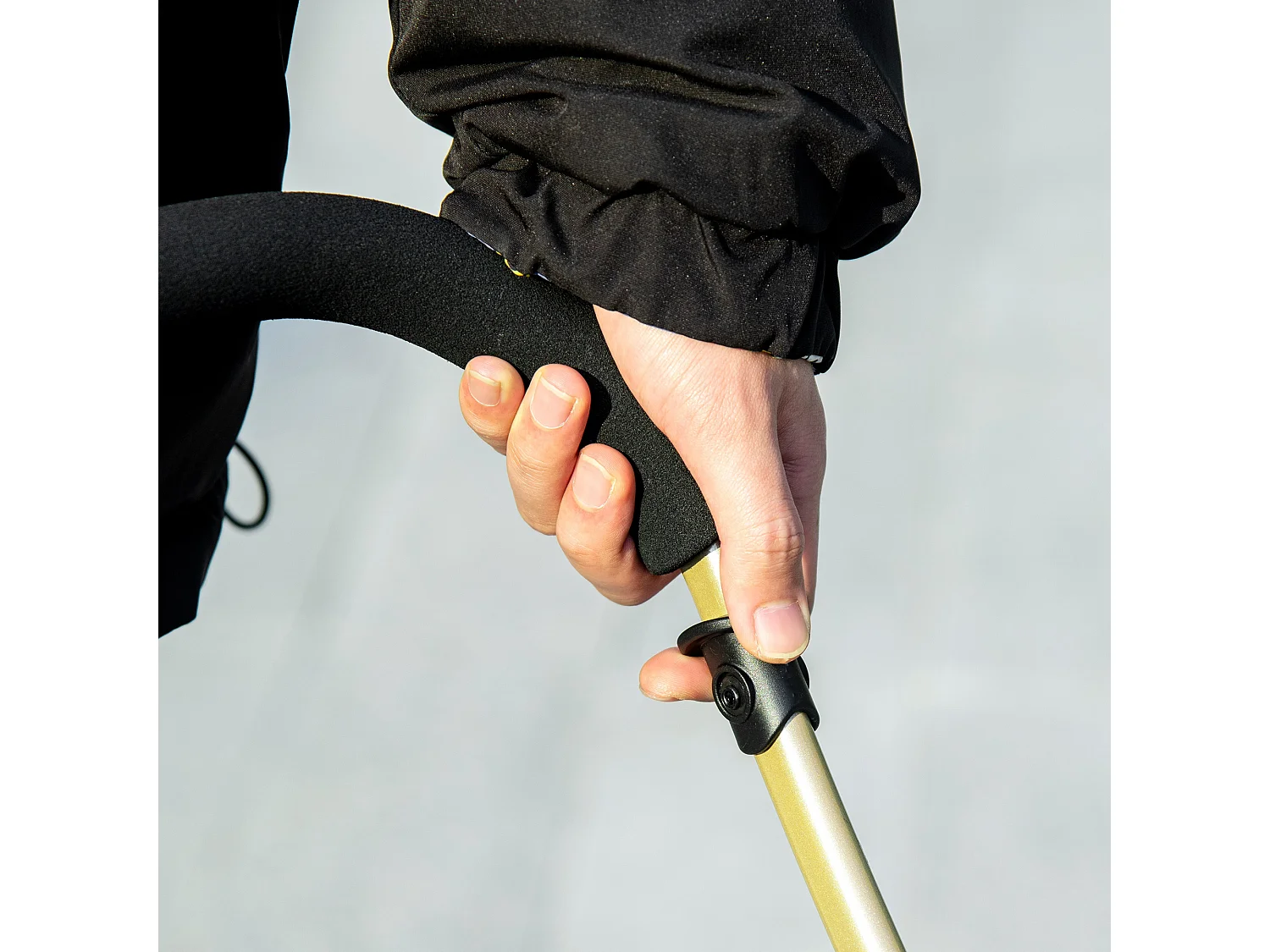 Passeggino per cani pieghevole convertibile in trasportino azzurro e nero