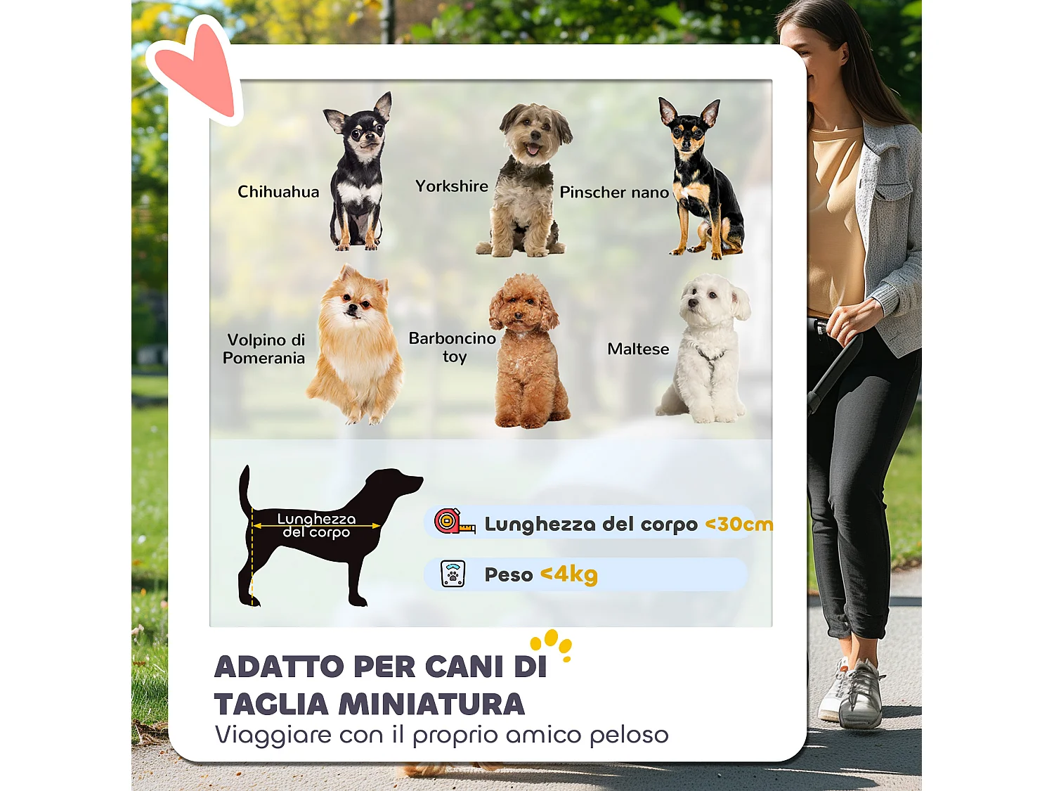 Passeggino per cani con 2 finestre a rete e guinzagli nero e verde scuro