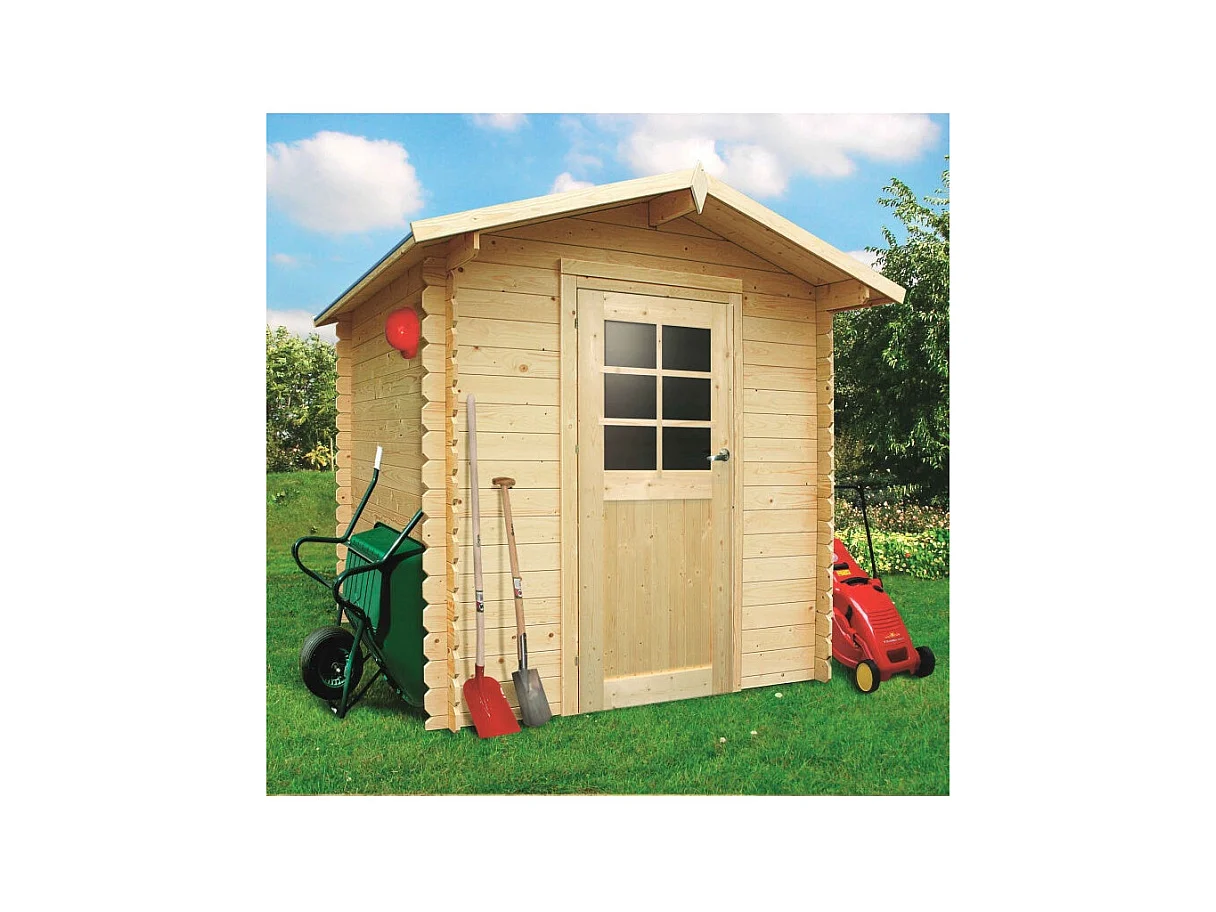 Abri de jardin en bois - 1980 x 1980
