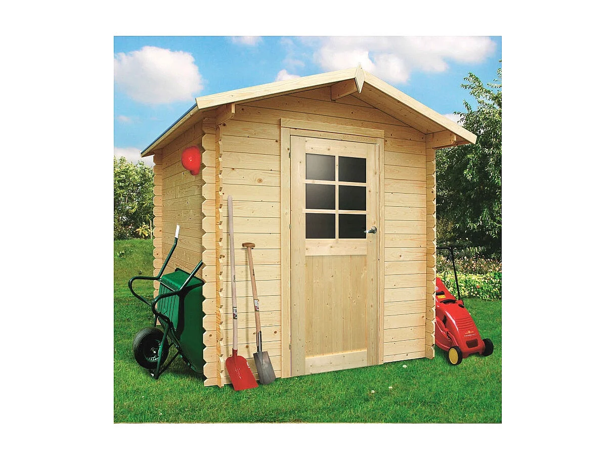 Abri de jardin en bois - 1980 x 1980