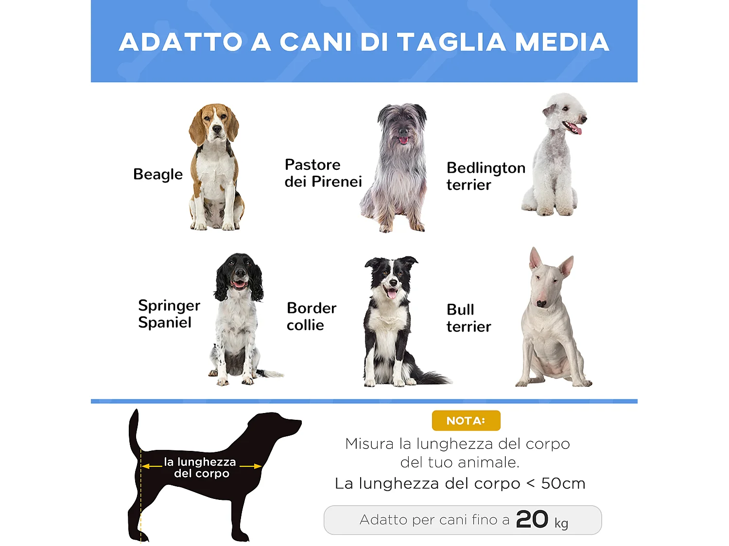 Lettino per cani rialzato pieghevole da interno ed esterno 76x61x18cm blu