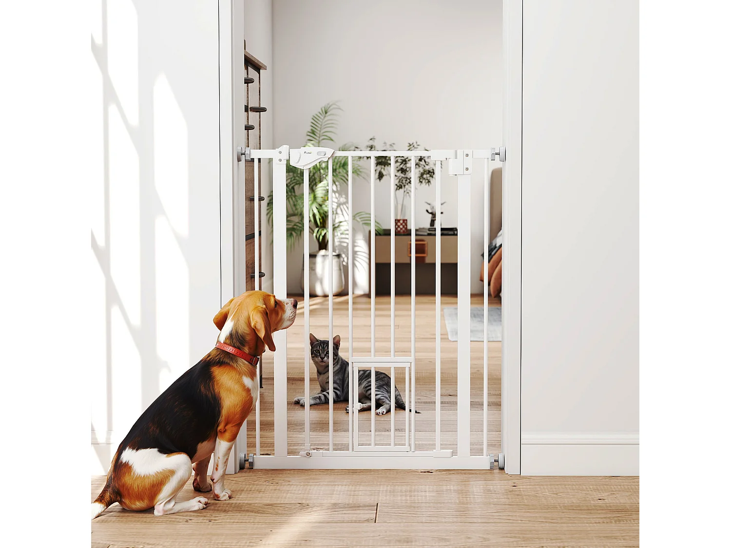 Cancellino cani con porta piccola chiusura automatica 74-80x91.4cm bianco