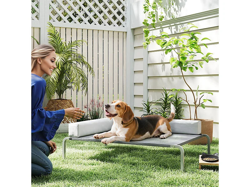 Lettino per cani rialzato con cuscino a l grigio chiaro e argento