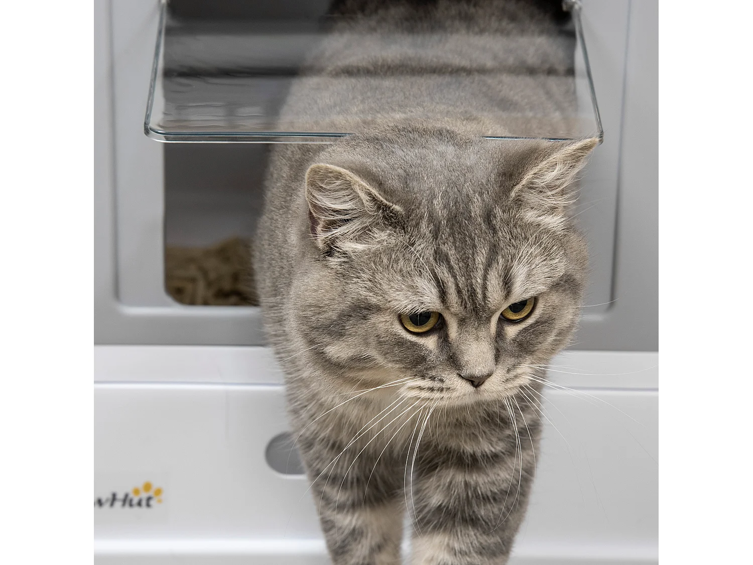 Lettiera per gatti chiusa con paletta vassoio estraibile e 2 porte