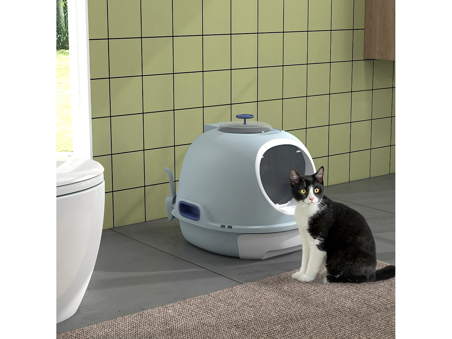 Lettiera per gatti chiusa con vassoio estraibile e 2 ingressi azzurro