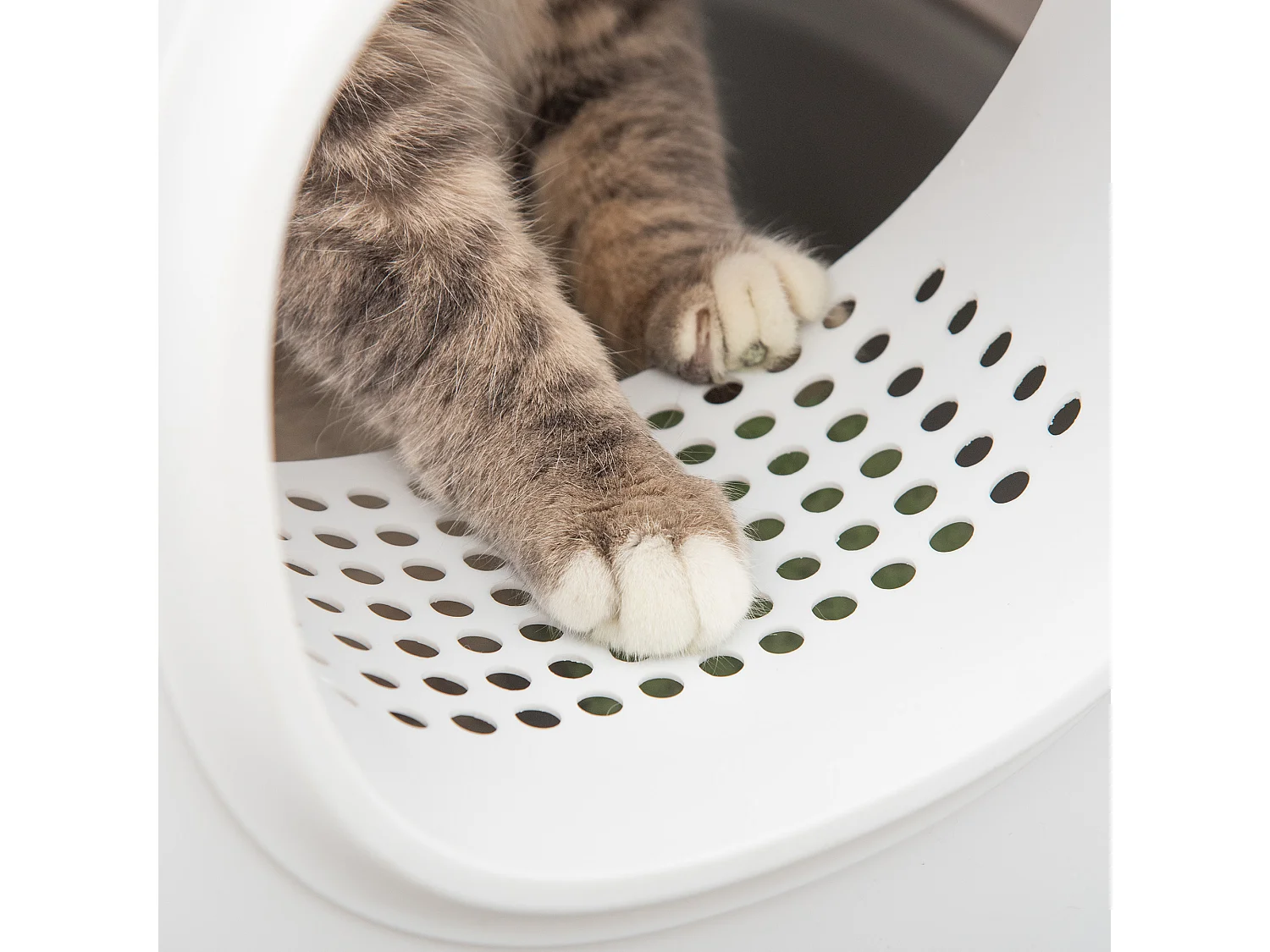 Lettiera per gatti apribile 55x40x39cm in pp con paletta inclusa