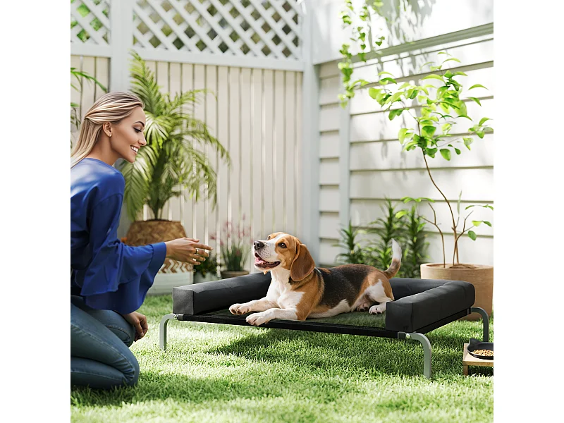 Lettino per cani rialzato con cuscino a u nero e argento