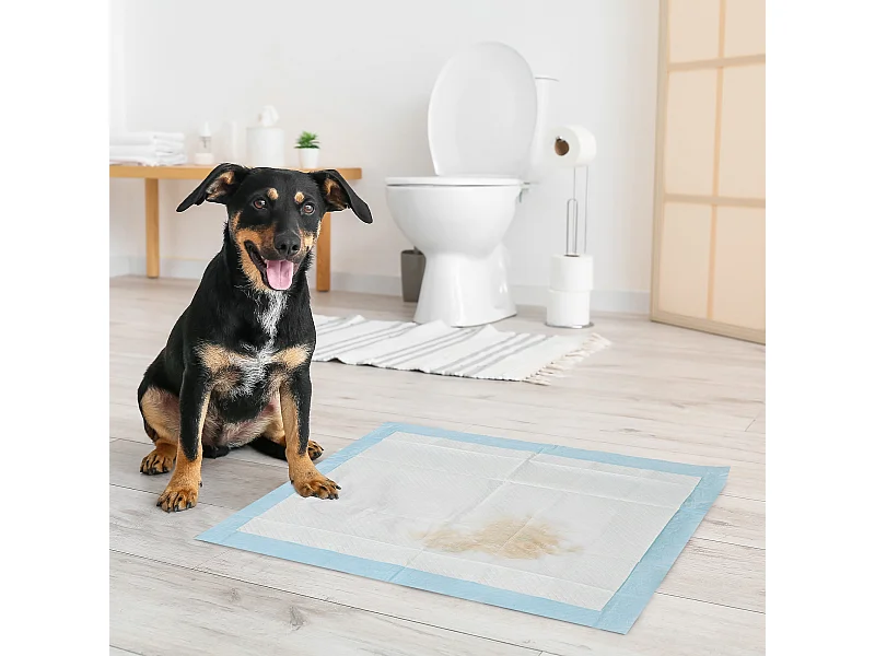 Set 80 tappetini igienici per cani a 6 strati 60x60 cm blu e bianco