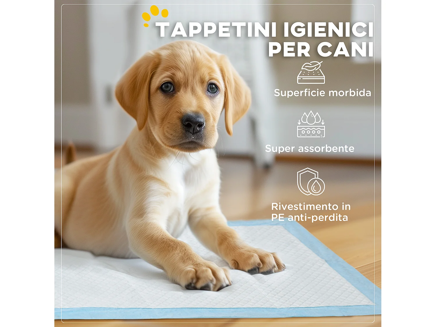 Set 100 tappetini igienici per cani a 6 strati 45x60 cm blu e bianco