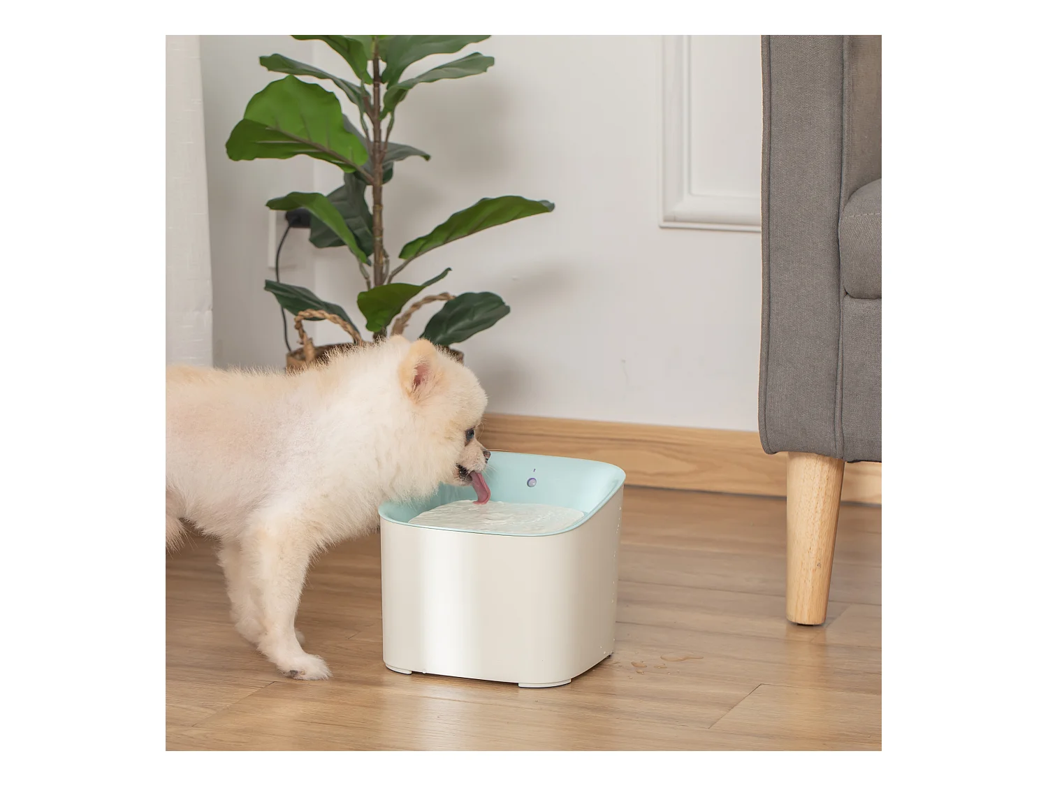 Fontanella per gatti e cani da 3l filtro luce led sensore di movimento