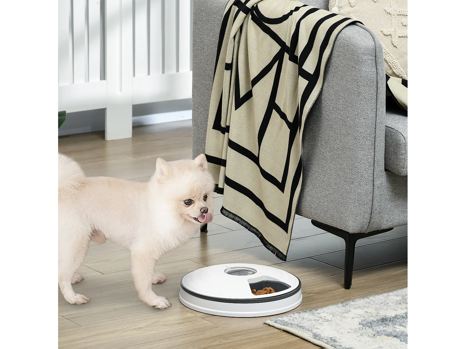 Distributore automatico cibo cani e gatti 6 ciotole con timer display led