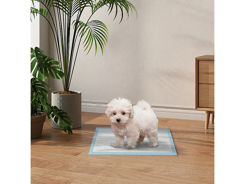 Set 100 tappetini igienici per cani a 6 strati 45x30 cm blu e bianco