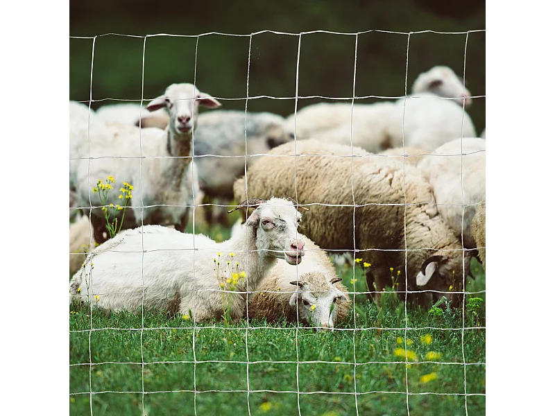 Rotolo di rete per recinzione metallica zincata da 26.1m altezza 1.2m