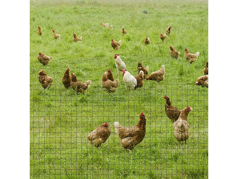 Rete metallica da giardino recinzione con rivestimento pvc 500x91cm verde