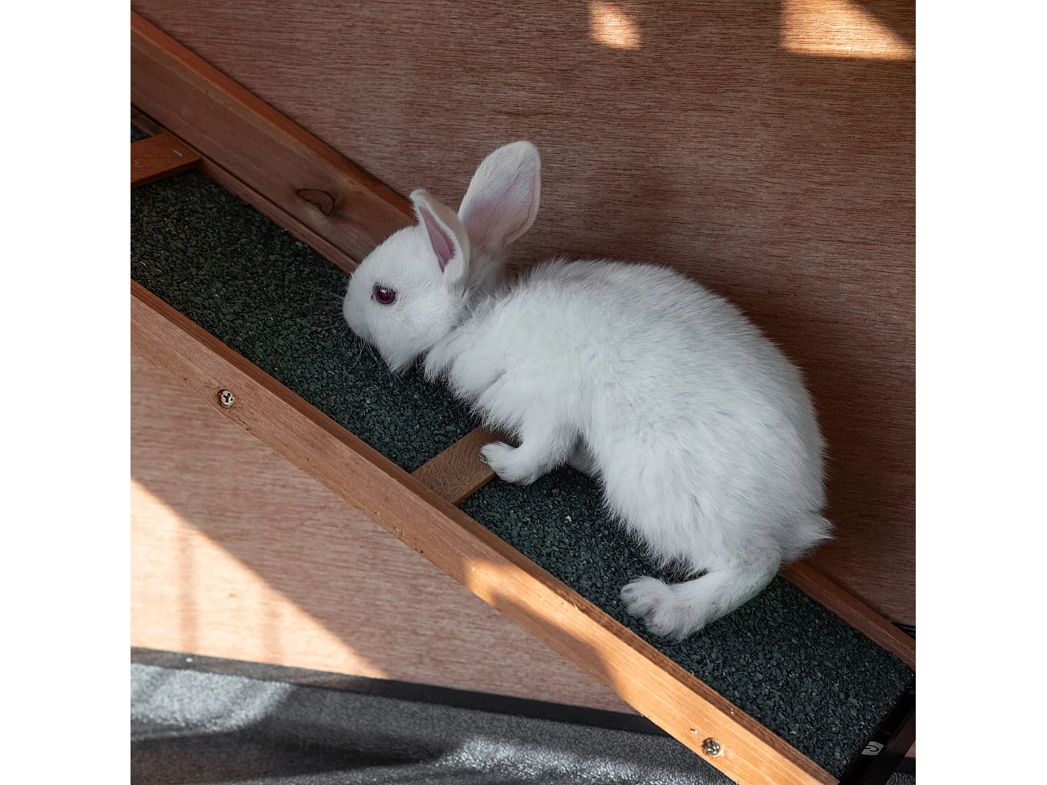 Conigliera in legno a 2 livelli con ruote vassoio estraibile rampa