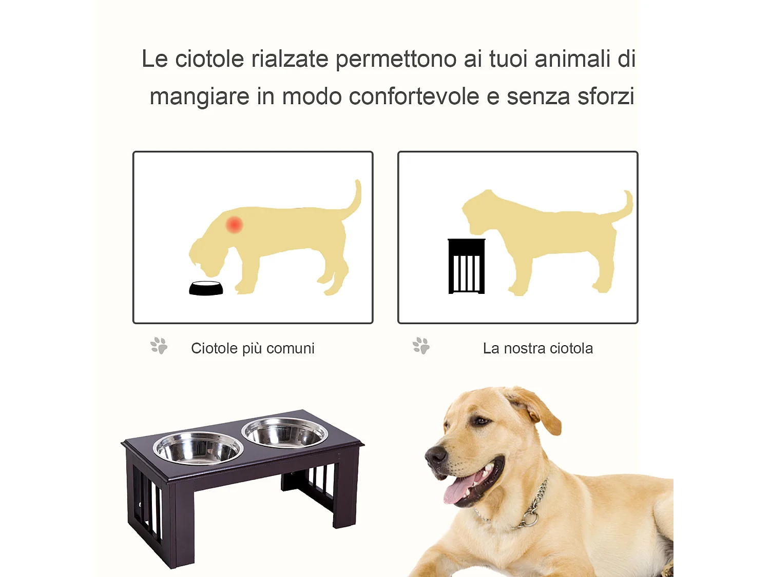 Ciotola rialzata per cani in acciaio inossidabile 2 piatti 58.4x30.5x25.4