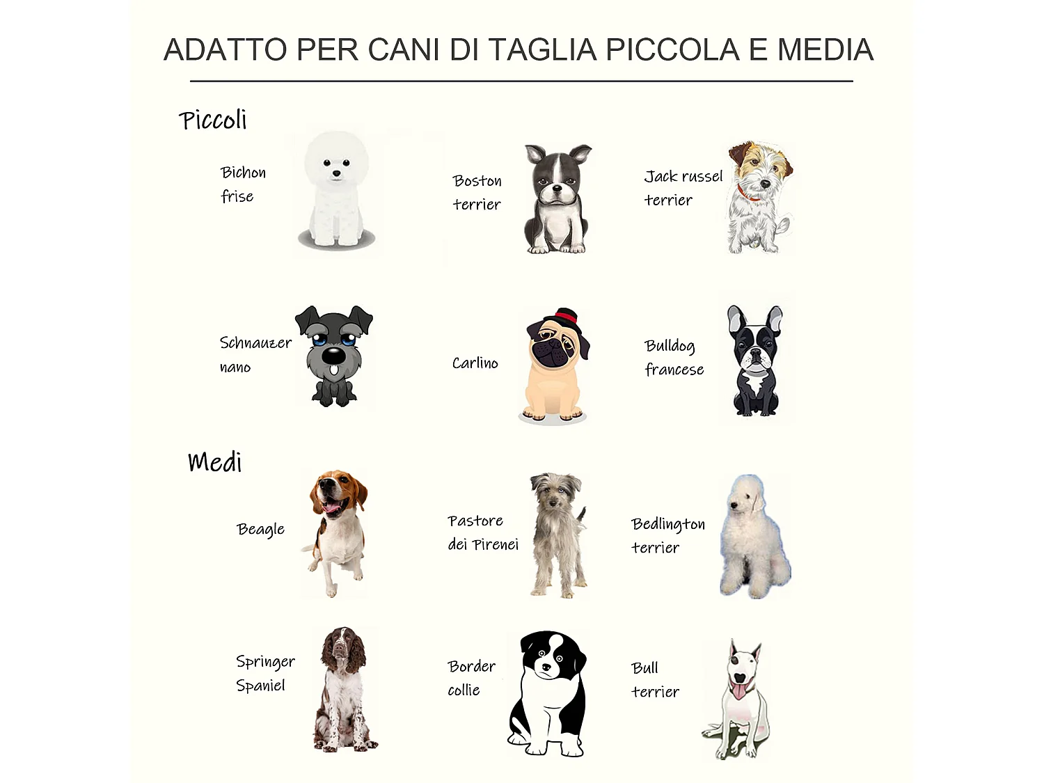 Ciotola rialzata per cani in acciaio inossidabile 2 piatti 58.4x30.5x25.4