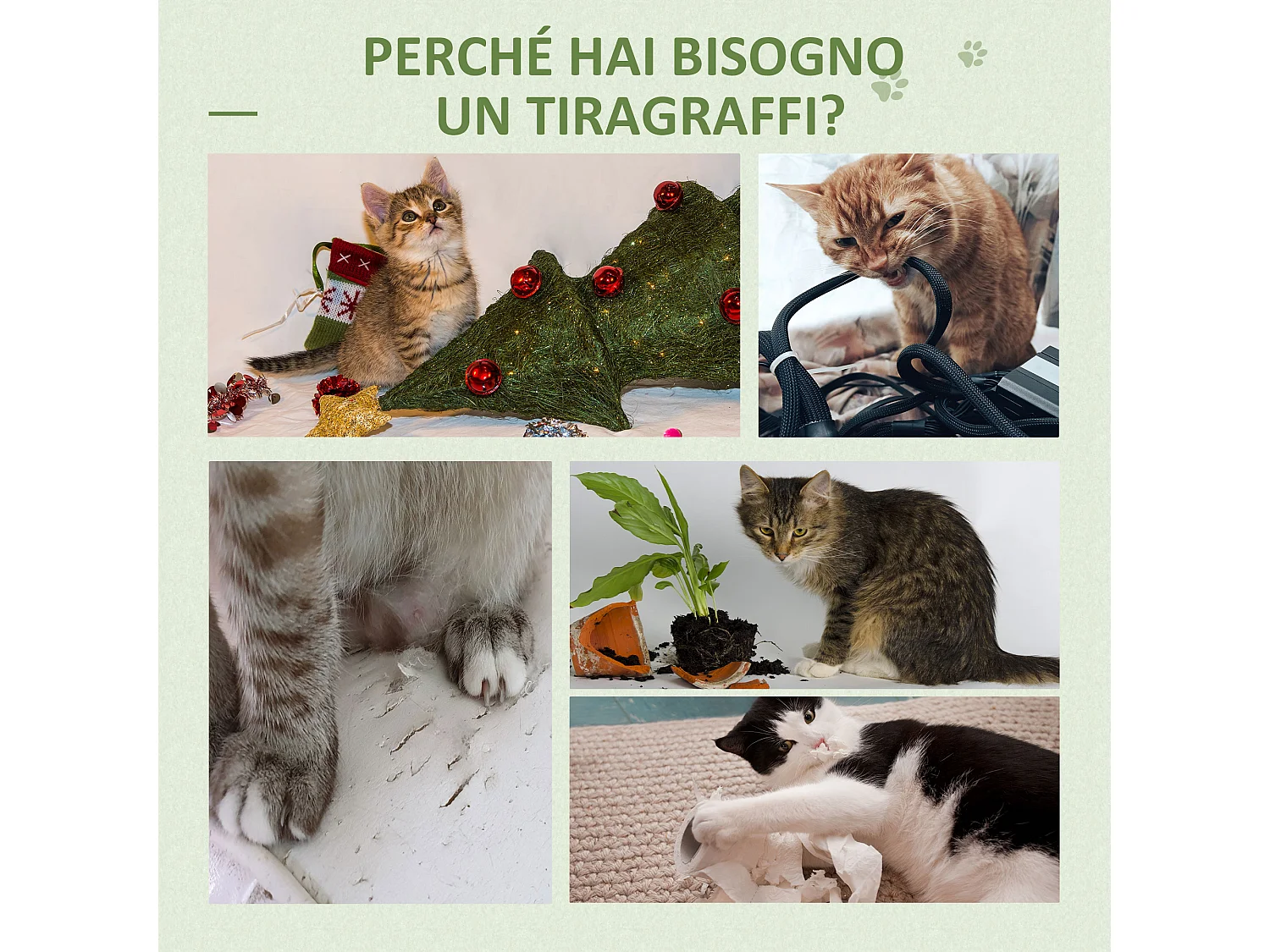 Albero tiragraffi per gatti adulti a forma di cactus 60x35x78cm verde