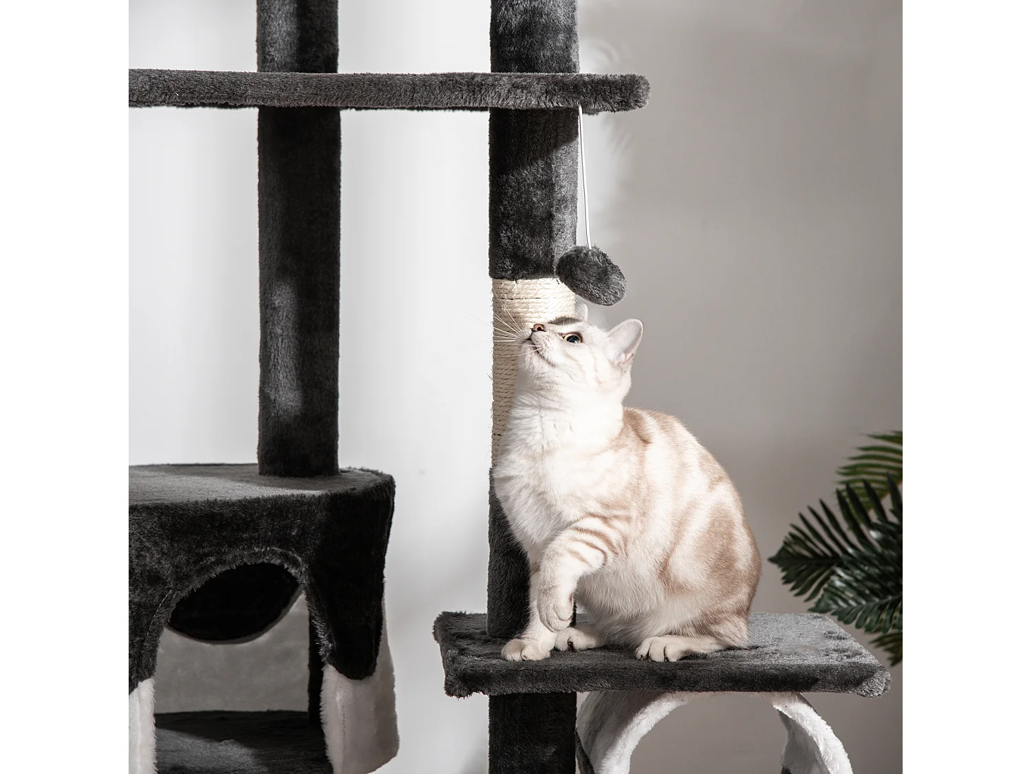 Tiragraffi a soffitto multilivello 240-260cm, cucce, scale, corde sisal