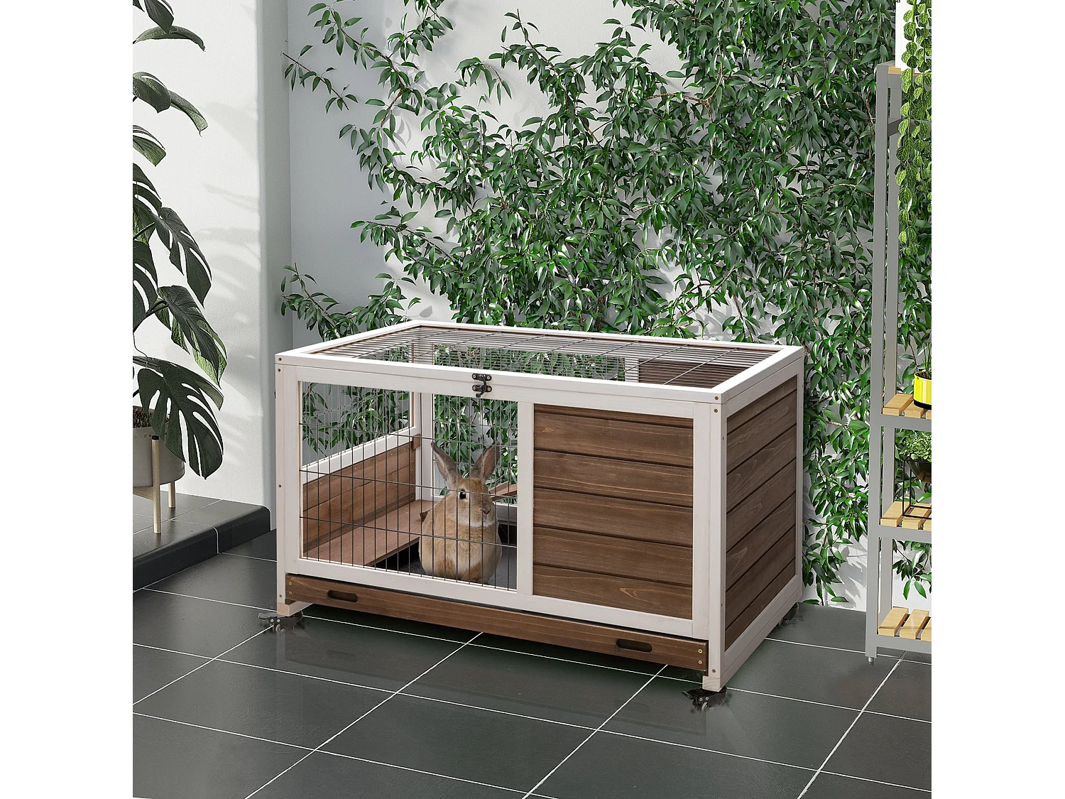 Gabbia per conigli e porcellini d'india, 4 ruote, casetta e rampa marrone