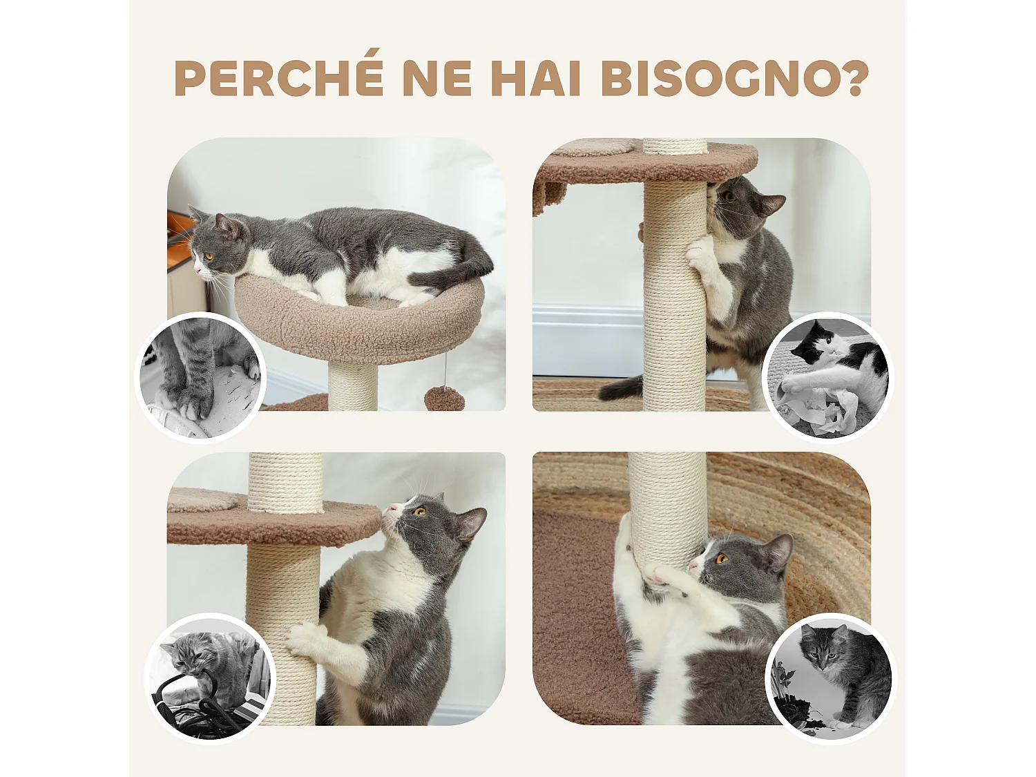 Albero per gatti a 3 livelli con trespolo e pallina bianco marrone