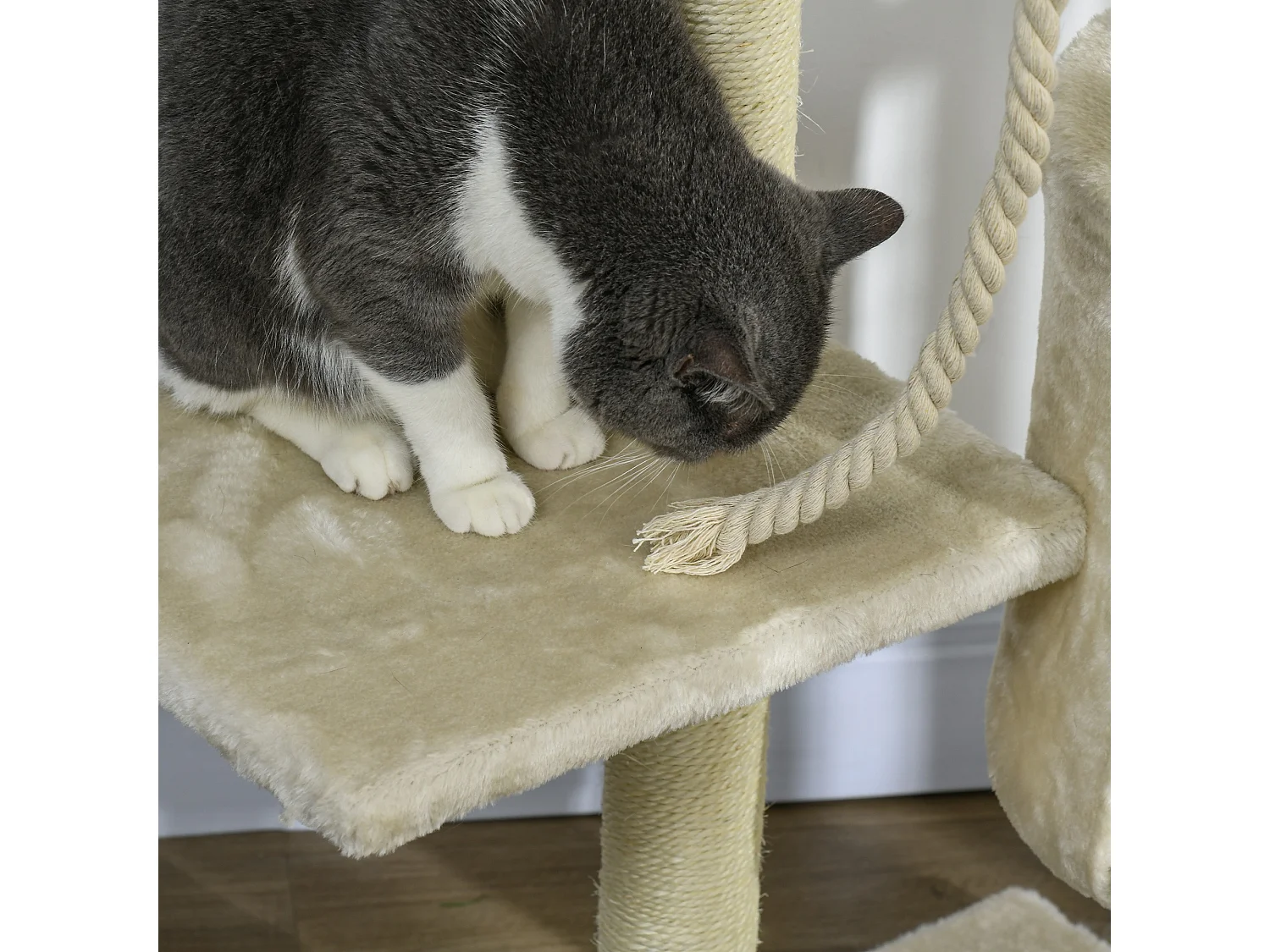 Albero tiragraffi per gatti struttura a colonna con cuccia