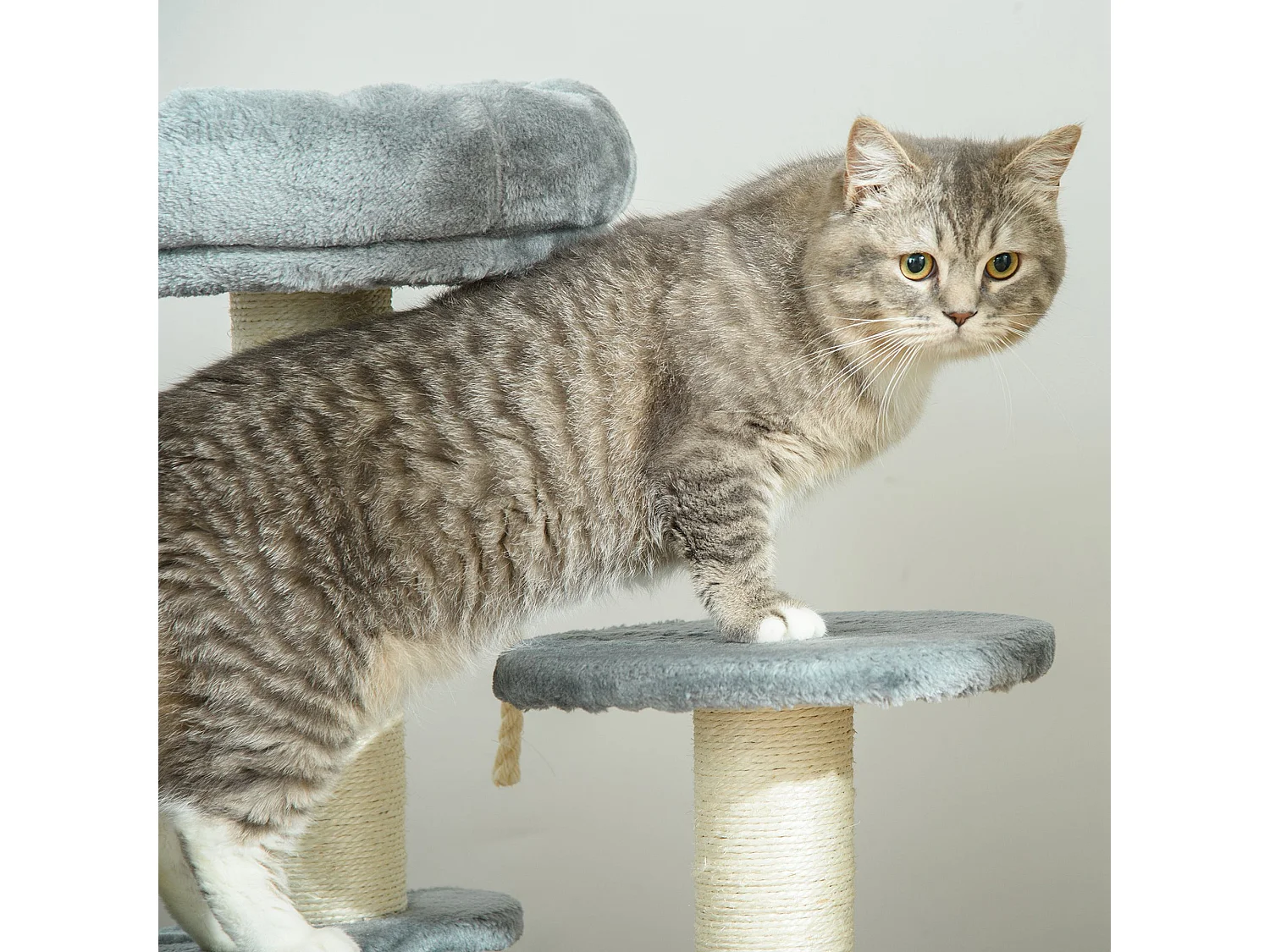 Albero tiragraffi per gatti a 3 livelli in peluche grigio