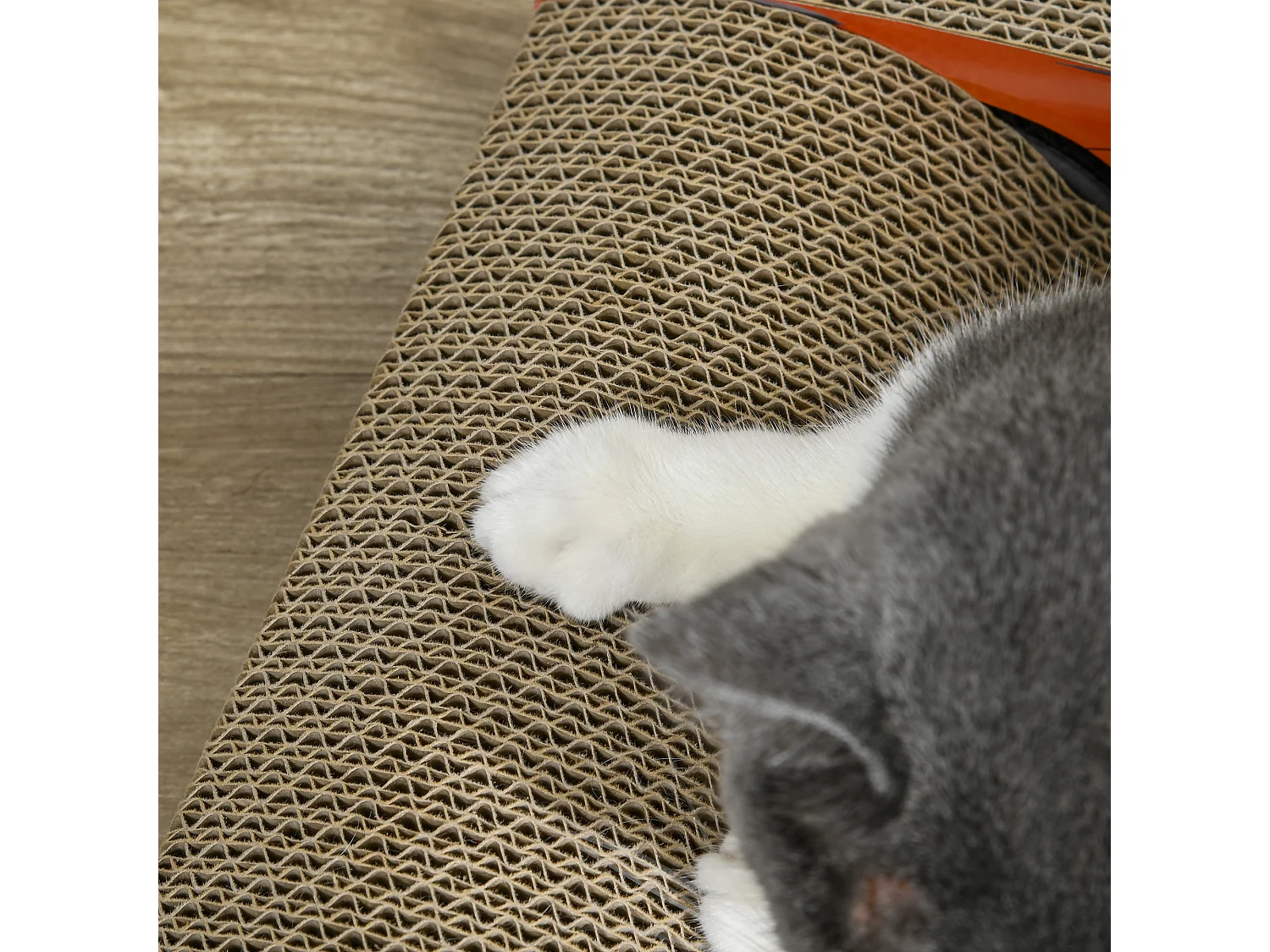 Cuccia per gatti tiragraffi a forma di auto in cartone ondulato rosso