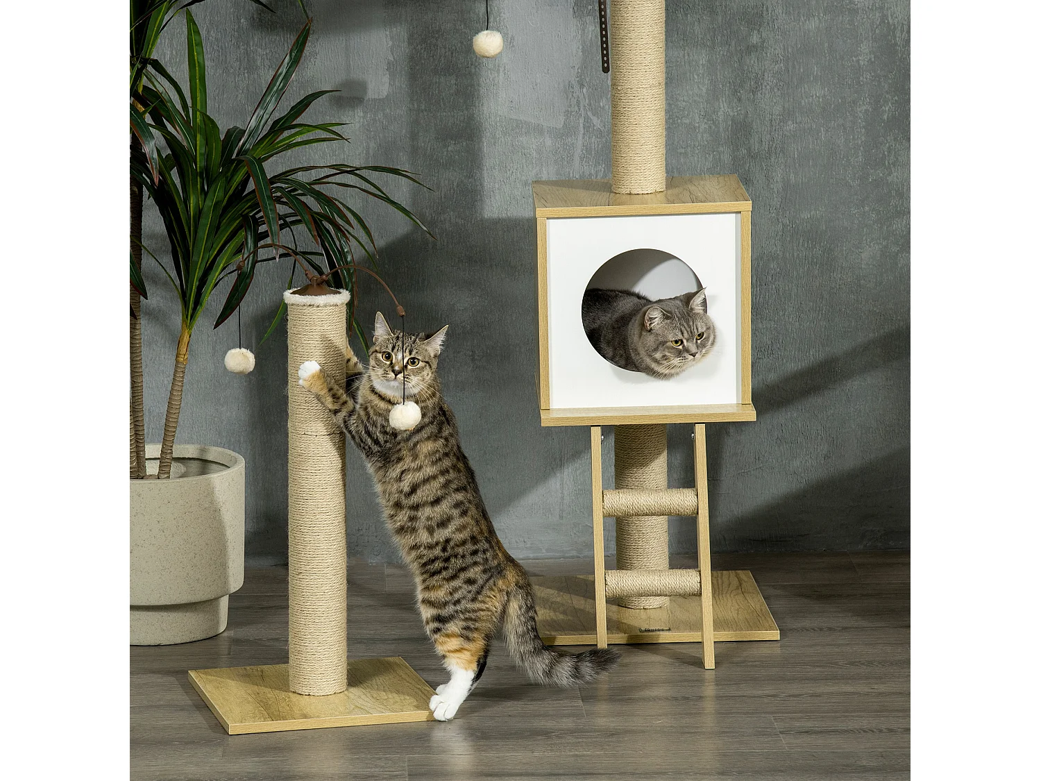 Albero per gatti altezza regolabile con tiragraffi amaca casetta pallina