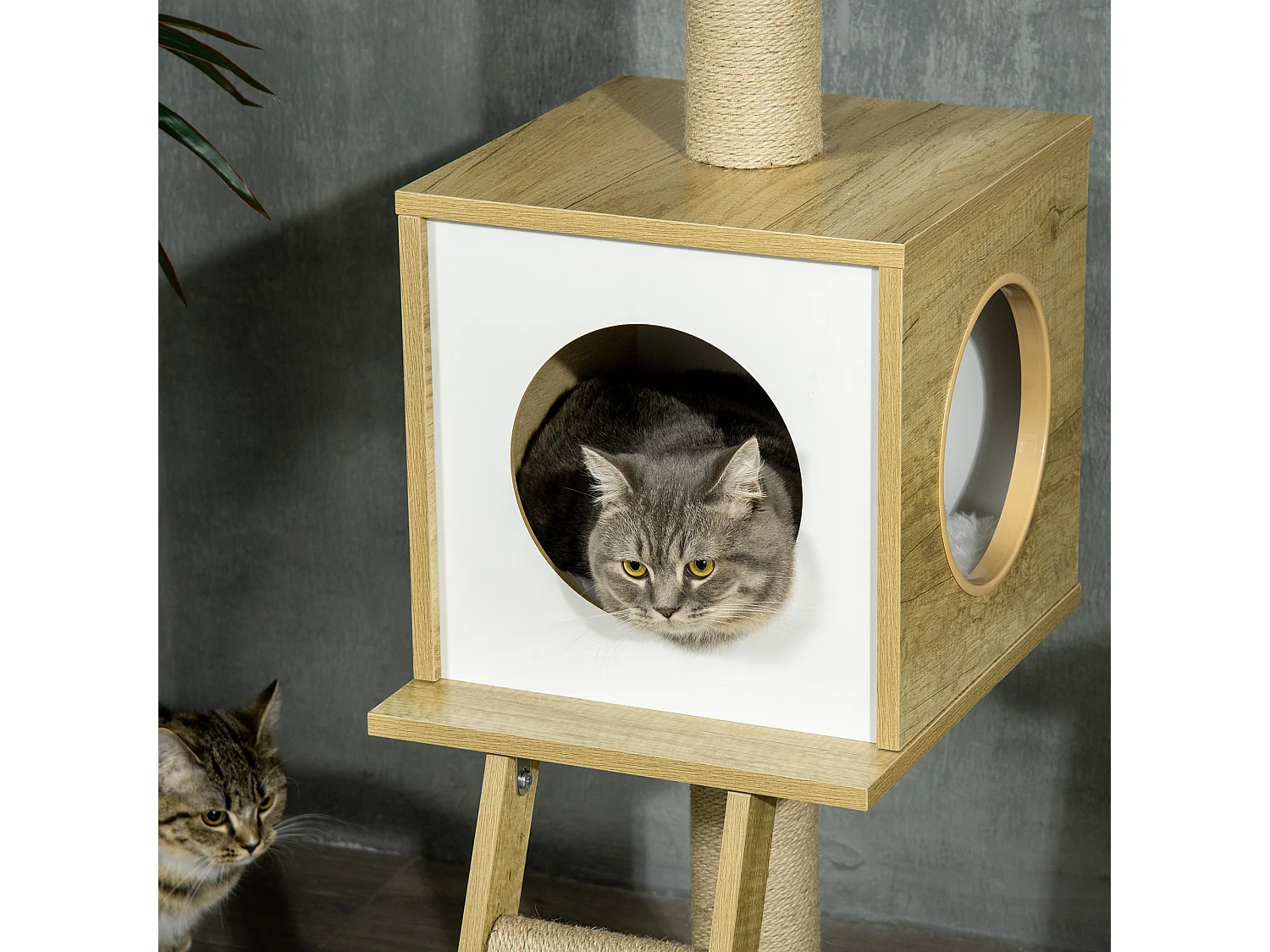 Albero per gatti altezza regolabile con tiragraffi amaca casetta pallina