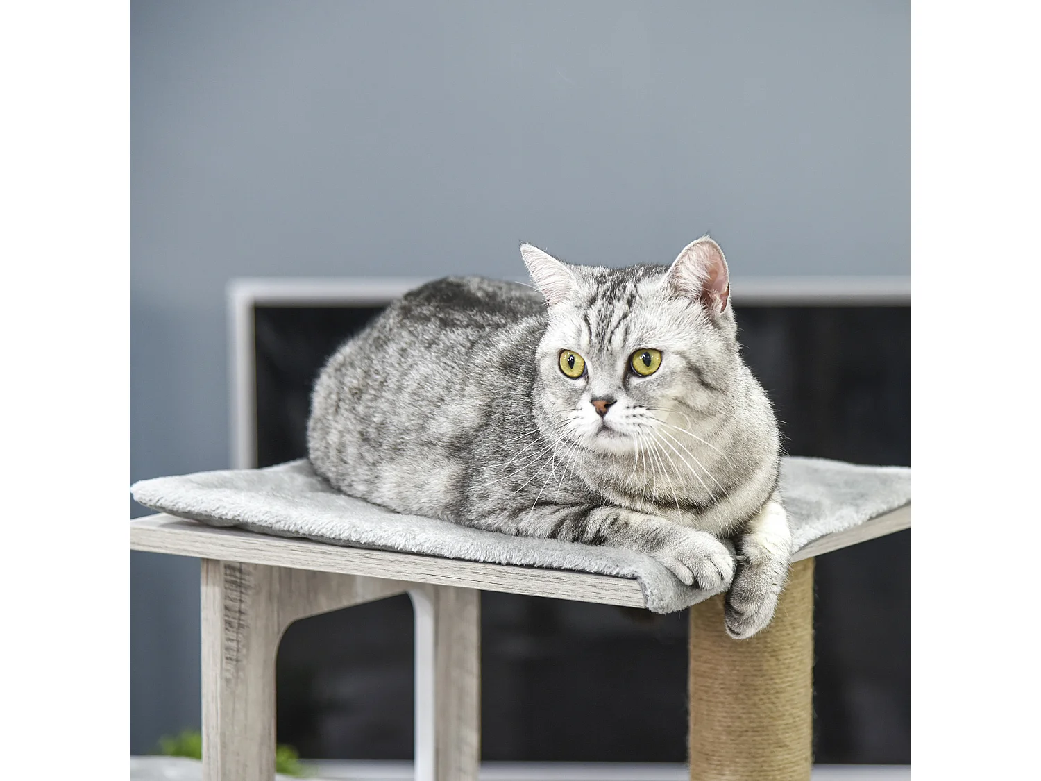 Albero tiragraffi per gatti multi-livello, cuccia e corde in iuta, grigio