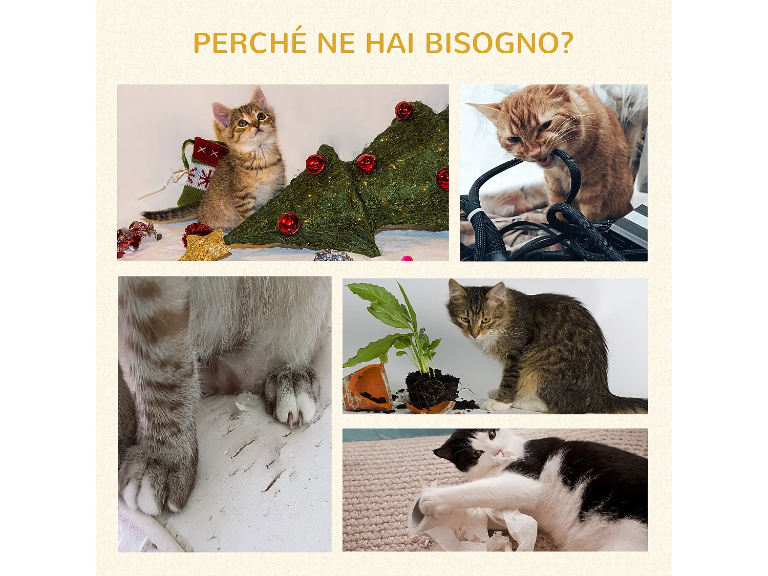 Albero tiragraffi per gatti a soffitto alto 202-242 cm regolabile, verde