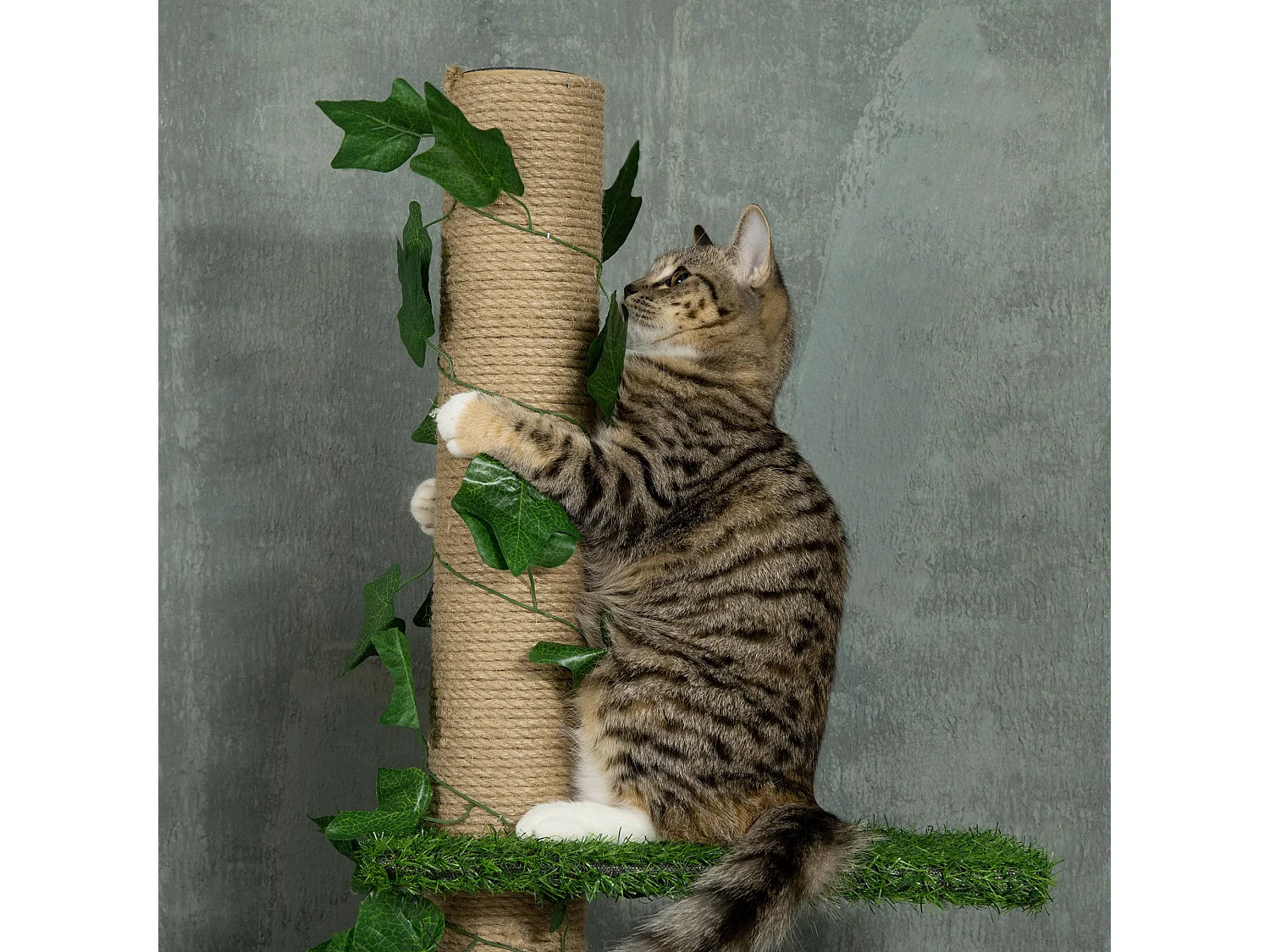 Albero tiragraffi per gatti a soffitto alto 202-242 cm regolabile, verde