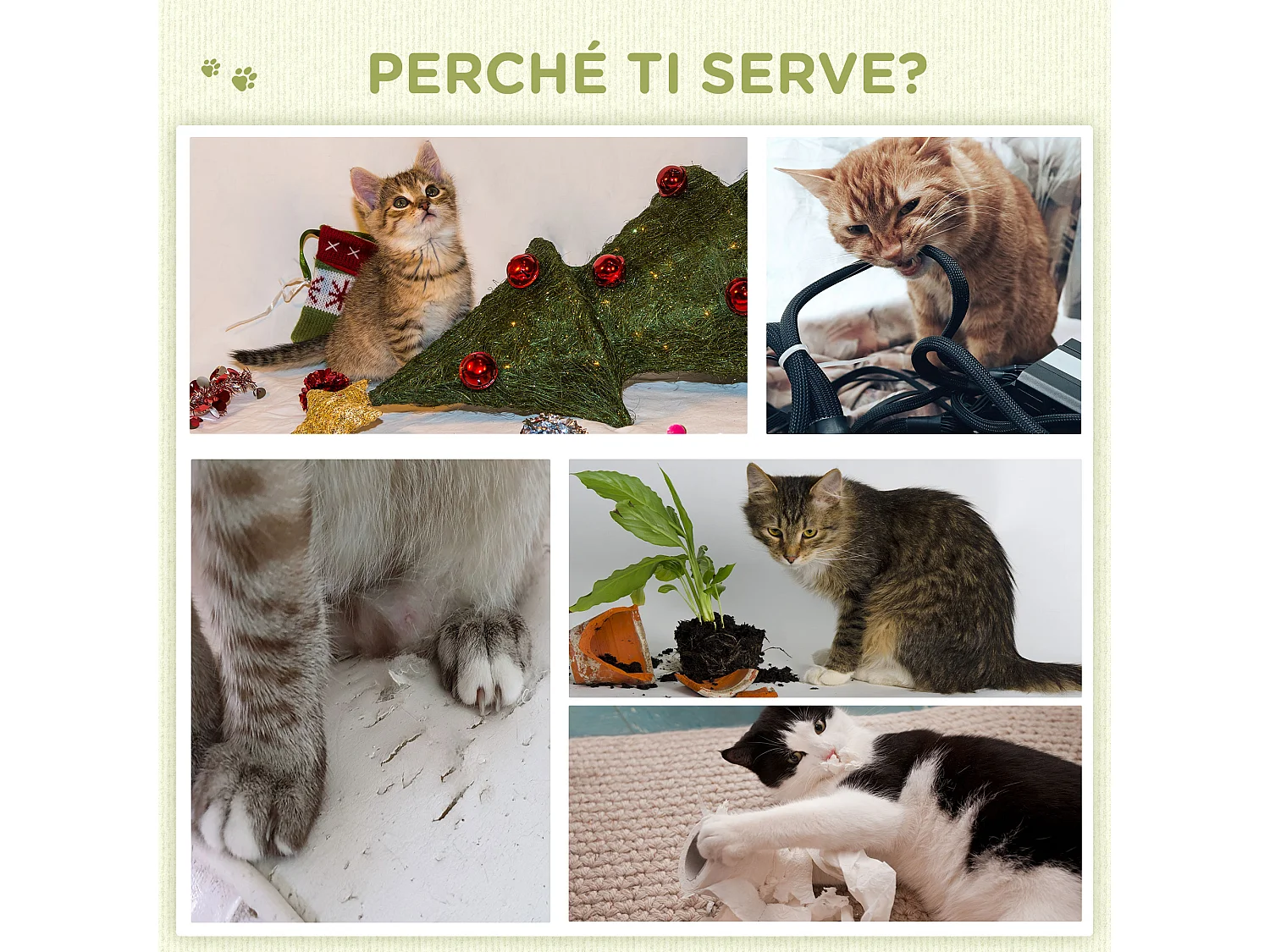 Tiragraffi per gatti con 2 lettini, pallina e rivestimento in velluto